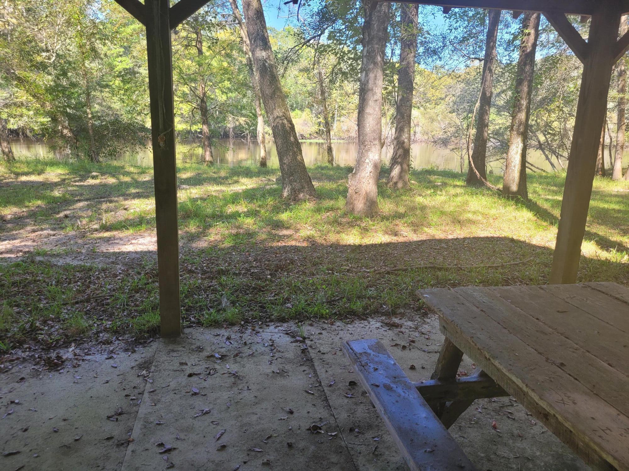 0 Boat Landing Road Ridgeville, SC 29472 - Photo 11 of 43 20220922_112410