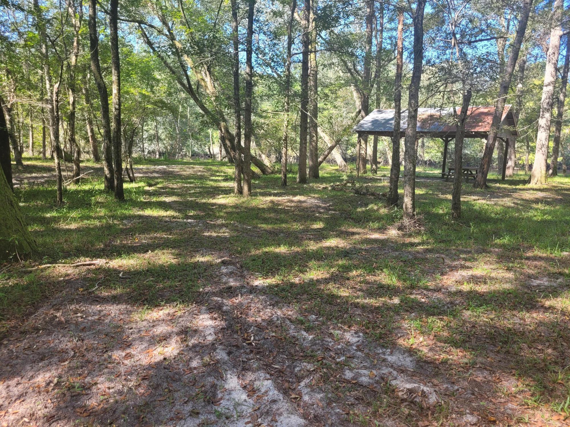 0 Boat Landing Road Ridgeville, SC 29472 - Photo 12 of 43 20220922_112626