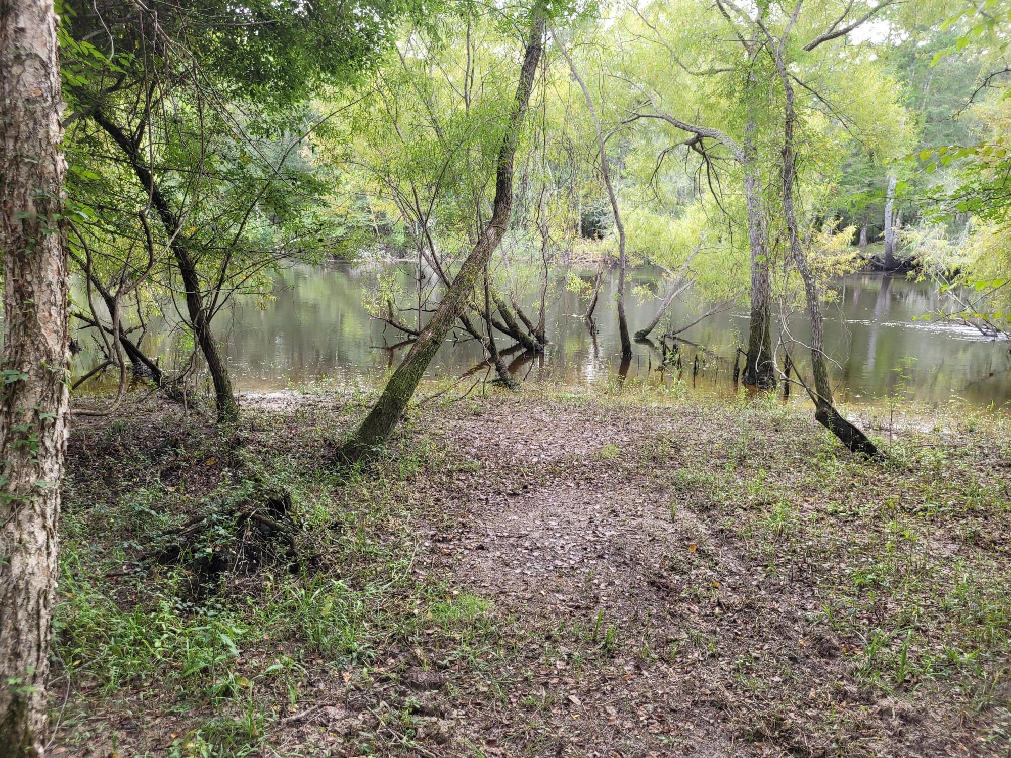 0 Boat Landing Road Ridgeville, SC 29472 - Photo 15 of 43 20220912_165621