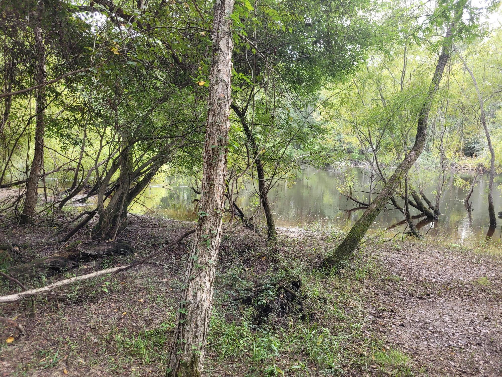 0 Boat Landing Road Ridgeville, SC 29472 - Photo 16 of 43 20220912_165624