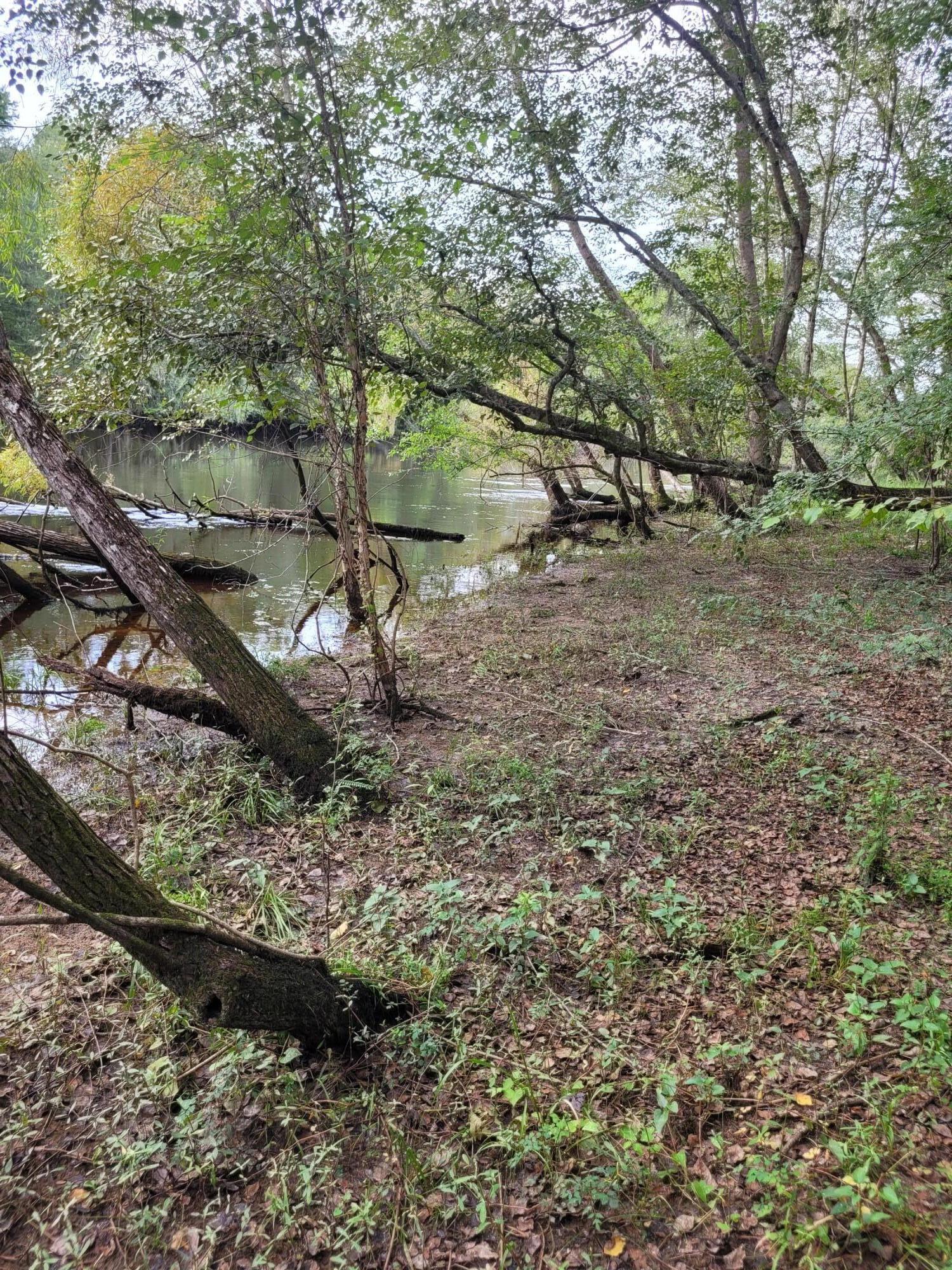 0 Boat Landing Road Ridgeville, SC 29472 - Photo 17 of 43 20220912_165651