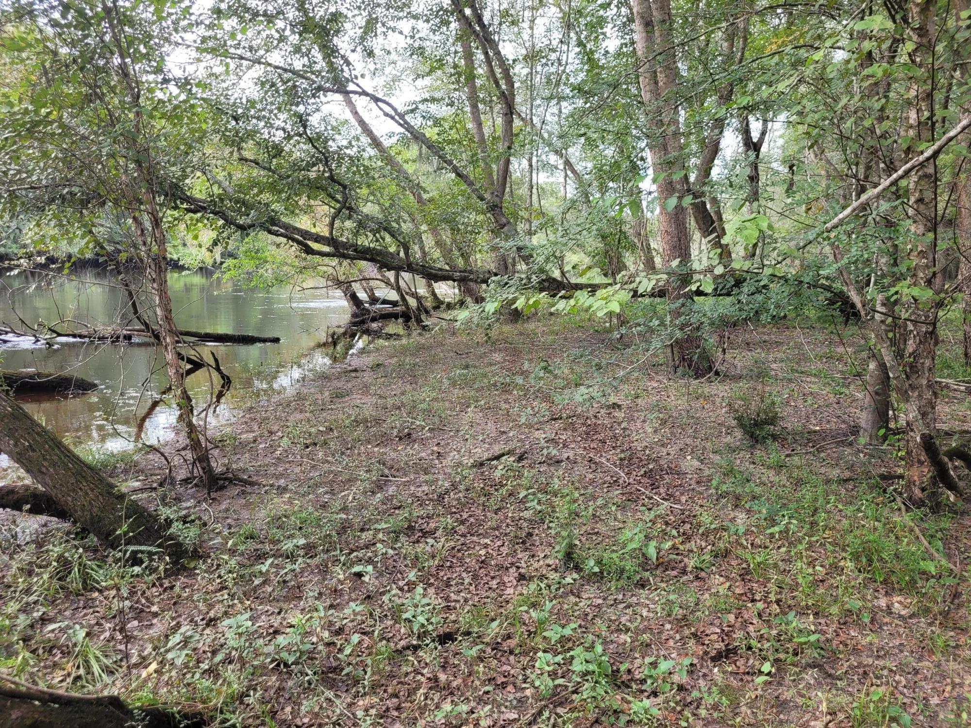 0 Boat Landing Road Ridgeville, SC 29472 - Photo 18 of 43 20220912_165655