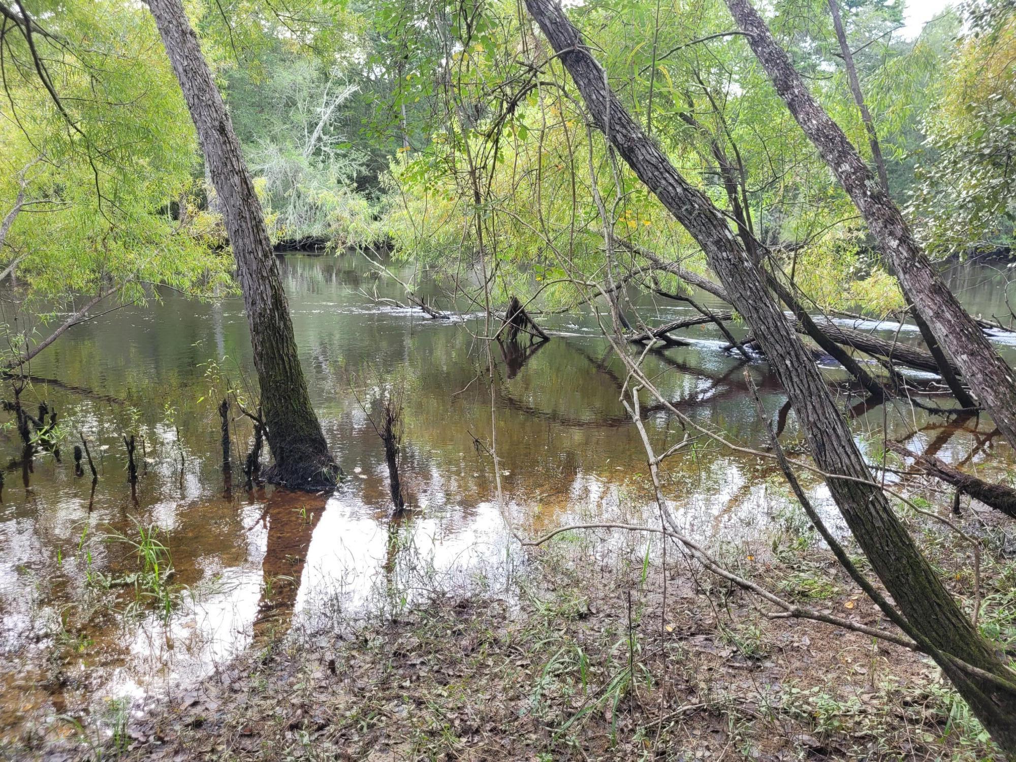 0 Boat Landing Road Ridgeville, SC 29472 - Photo 19 of 43 20220912_165658