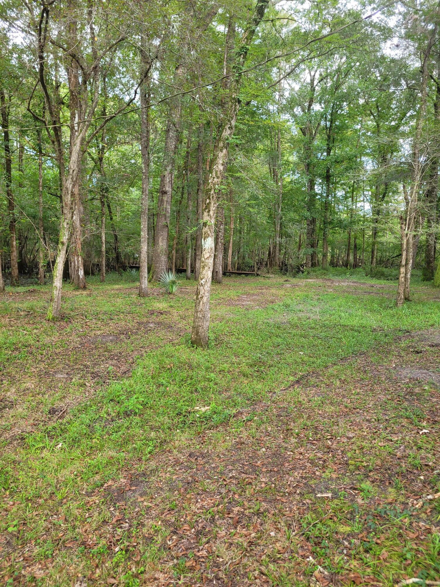 0 Boat Landing Road Ridgeville, SC 29472 - Photo 20 of 43 20220912_165822