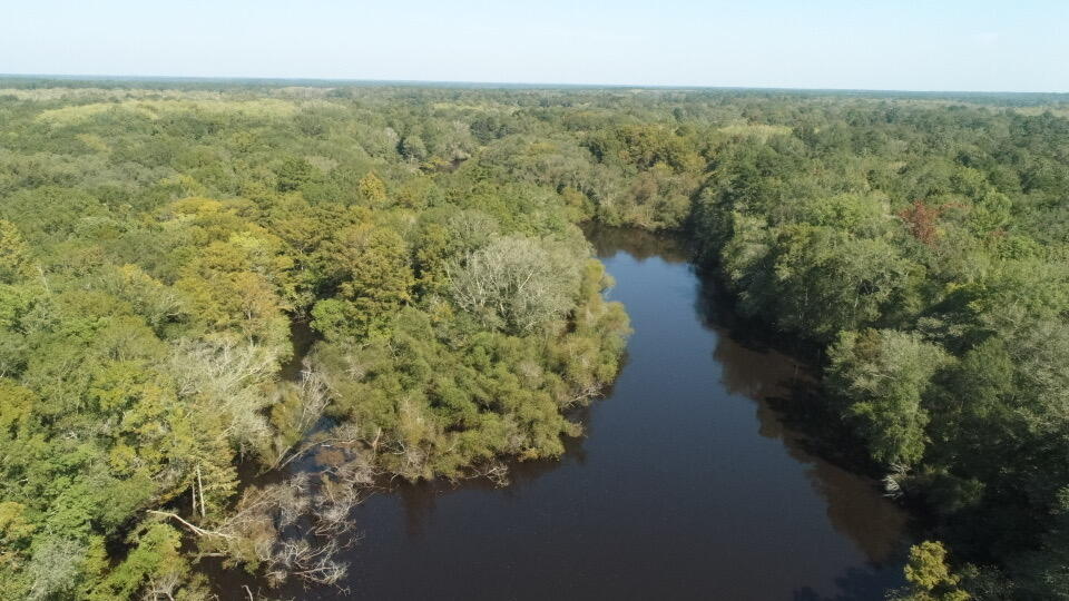 0 Boat Landing Road Ridgeville, SC 29472 - Photo 2 of 43 IMG_0778