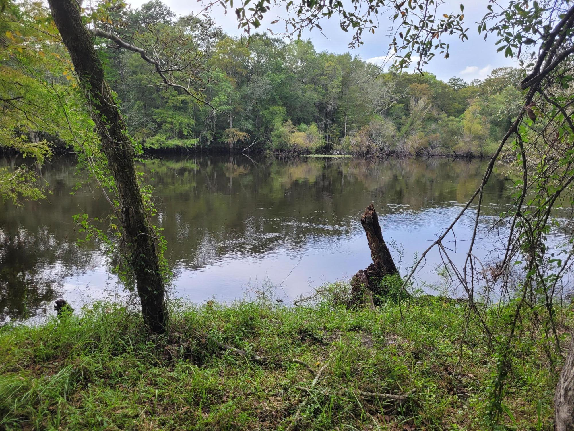 0 Boat Landing Road Ridgeville, SC 29472 - Photo 21 of 43 20220912_165915
