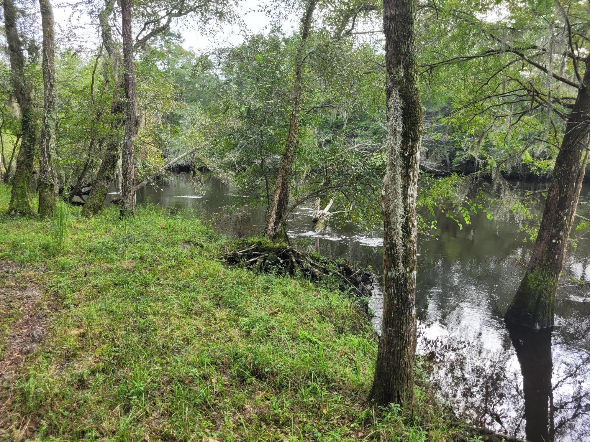 0 Boat Landing Road Ridgeville, SC 29472 - Photo 22 of 43 20220912_165924