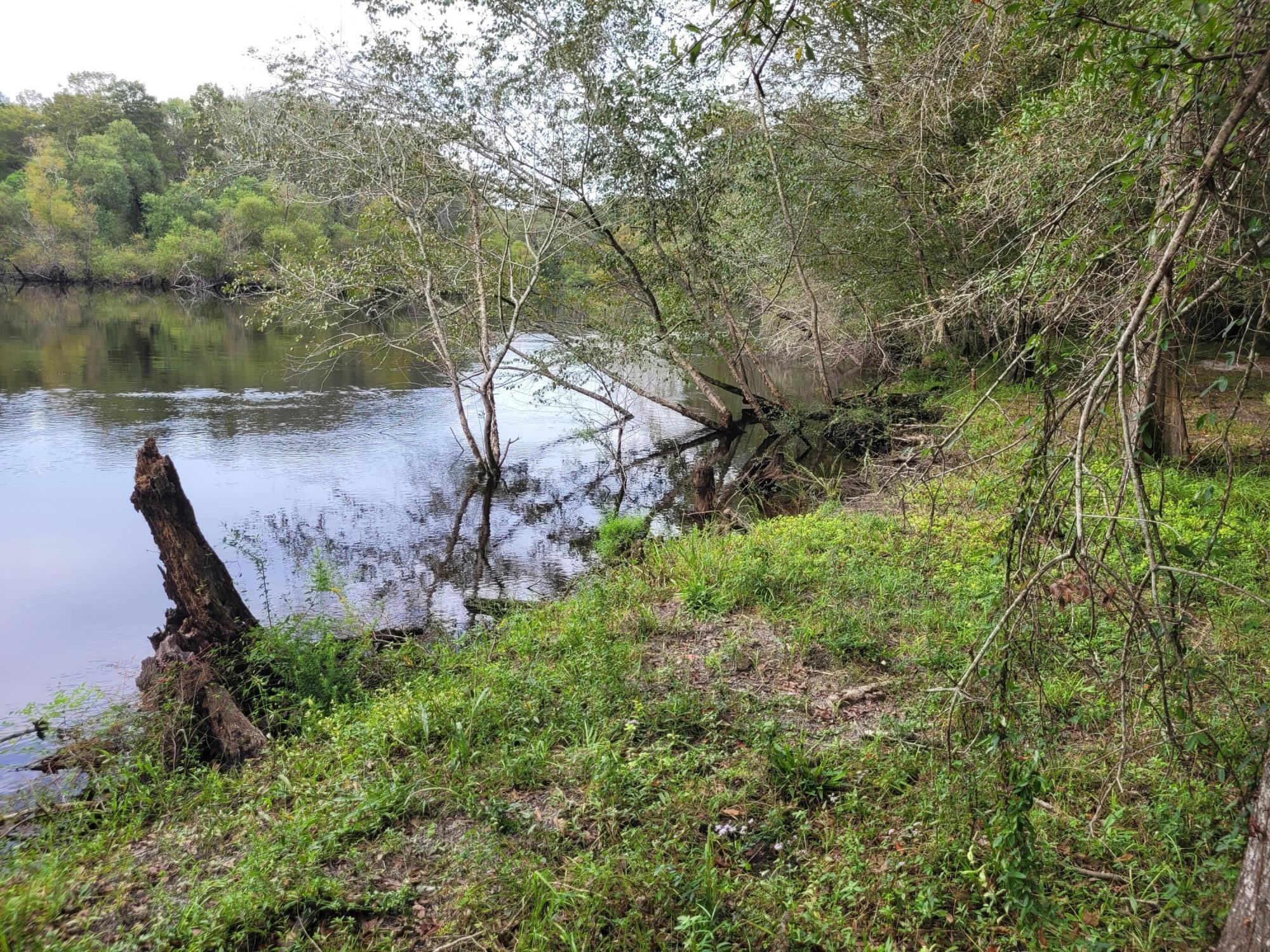 0 Boat Landing Road Ridgeville, SC 29472 - Photo 23 of 43 20220912_165932