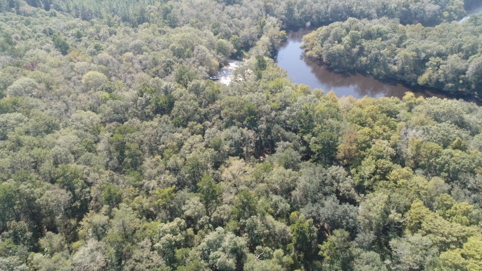 0 Boat Landing Road Ridgeville, SC 29472 - Photo 28 of 43 IMG_0782