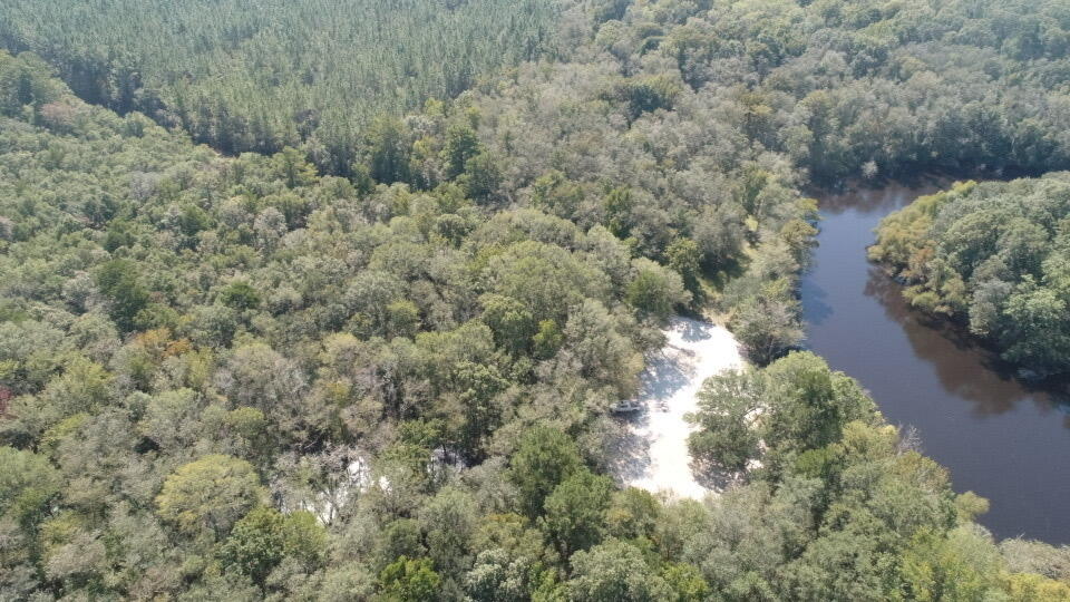 0 Boat Landing Road Ridgeville, SC 29472 - Photo 29 of 43 IMG_0783