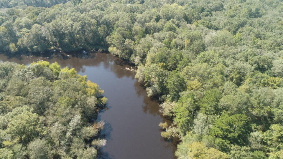 0 Boat Landing Road Ridgeville, SC 29472 - Photo 31 of 43 IMG_0785