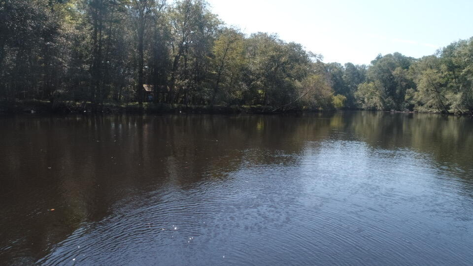 0 Boat Landing Road Ridgeville, SC 29472 - Photo 32 of 43 IMG_0788