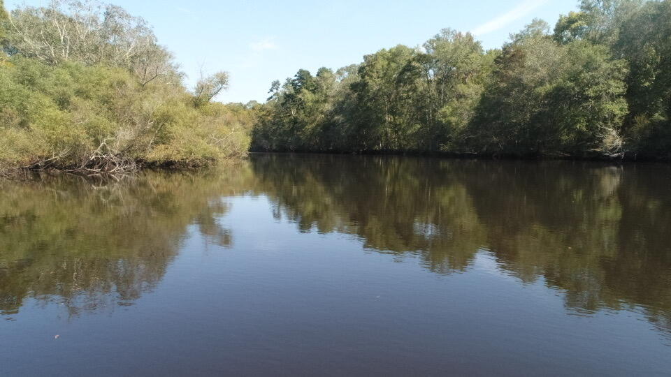 0 Boat Landing Road Ridgeville, SC 29472 - Photo 33 of 43 IMG_0790