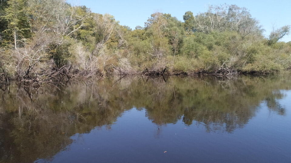 0 Boat Landing Road Ridgeville, SC 29472 - Photo 34 of 43 IMG_0791