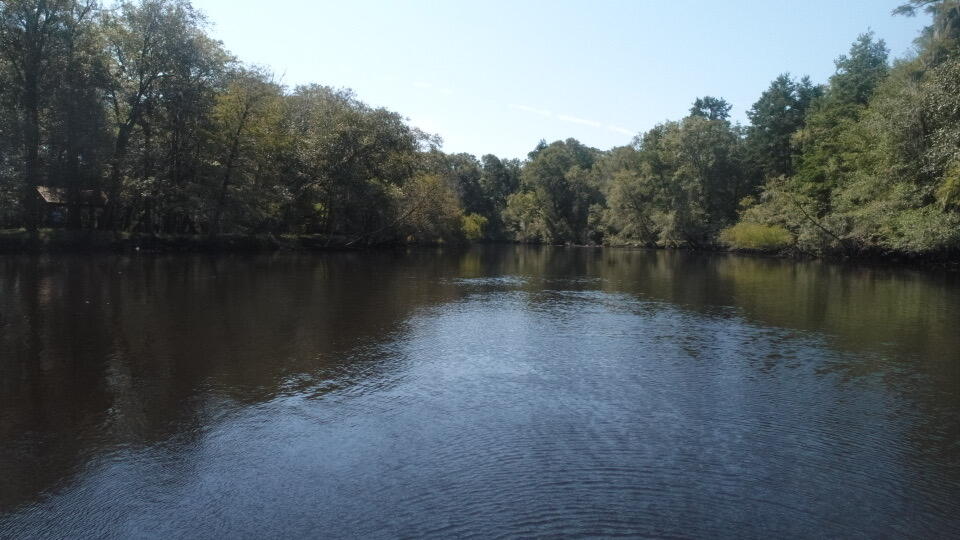 0 Boat Landing Road Ridgeville, SC 29472 - Photo 35 of 43 IMG_0792