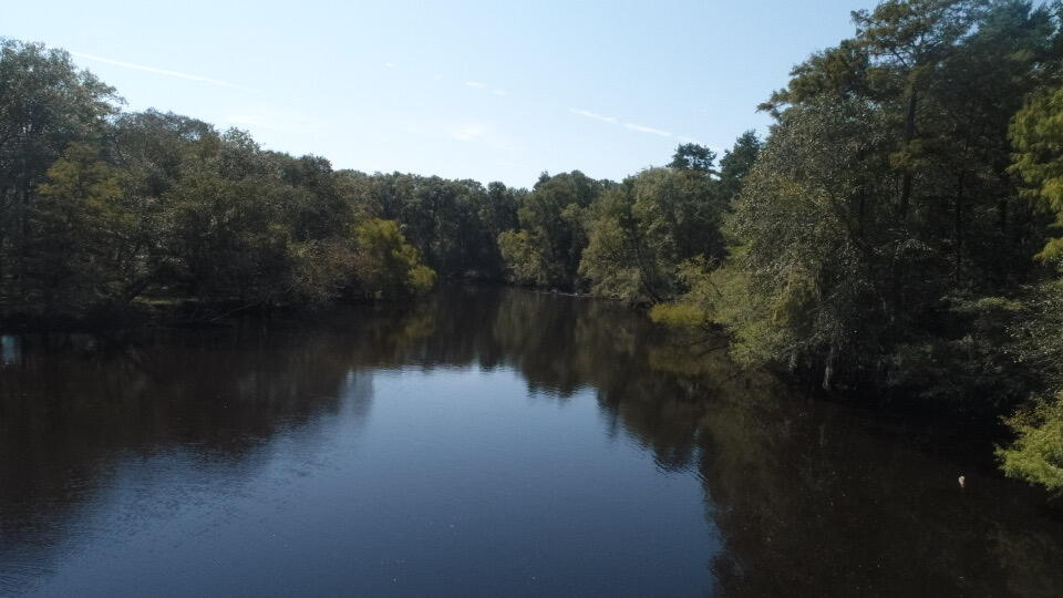 0 Boat Landing Road Ridgeville, SC 29472 - Photo 36 of 43 IMG_0793