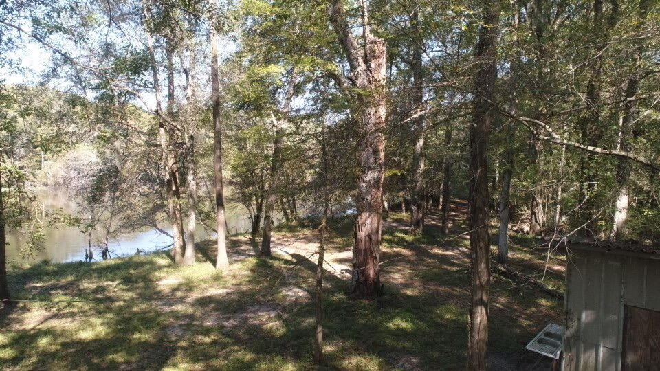 0 Boat Landing Road Ridgeville, SC 29472 - Photo 39 of 43 IMG_0801