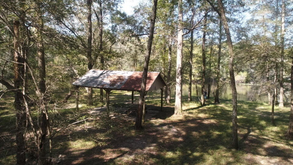 0 Boat Landing Road Ridgeville, SC 29472 - Photo 42 of 43 IMG_0807