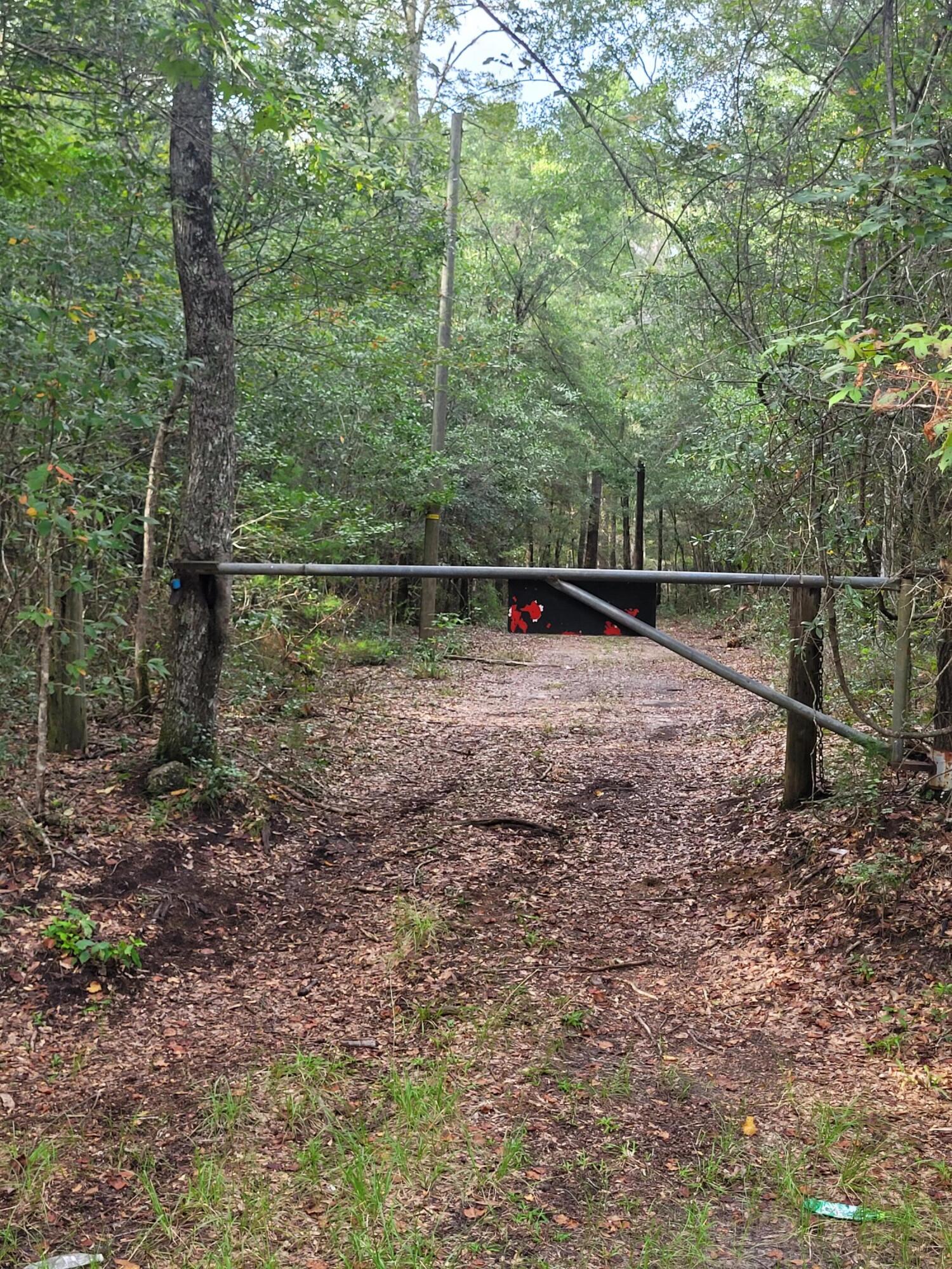 0 Boat Landing Road Ridgeville, SC 29472 - Photo 5 of 43 20220912_173017
