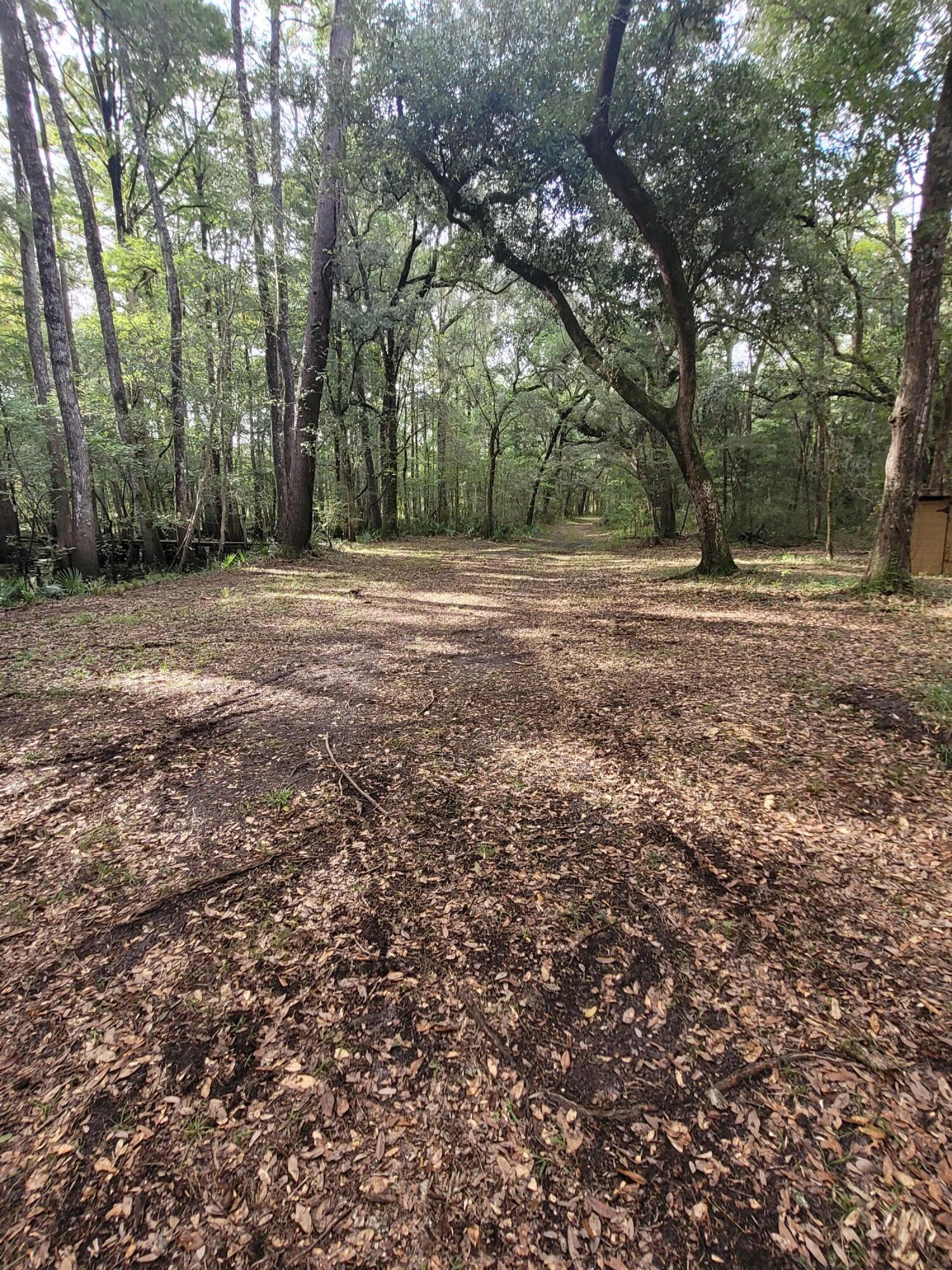 0 Boat Landing Road Ridgeville, SC 29472 - Photo 6 of 43 20220912_170613