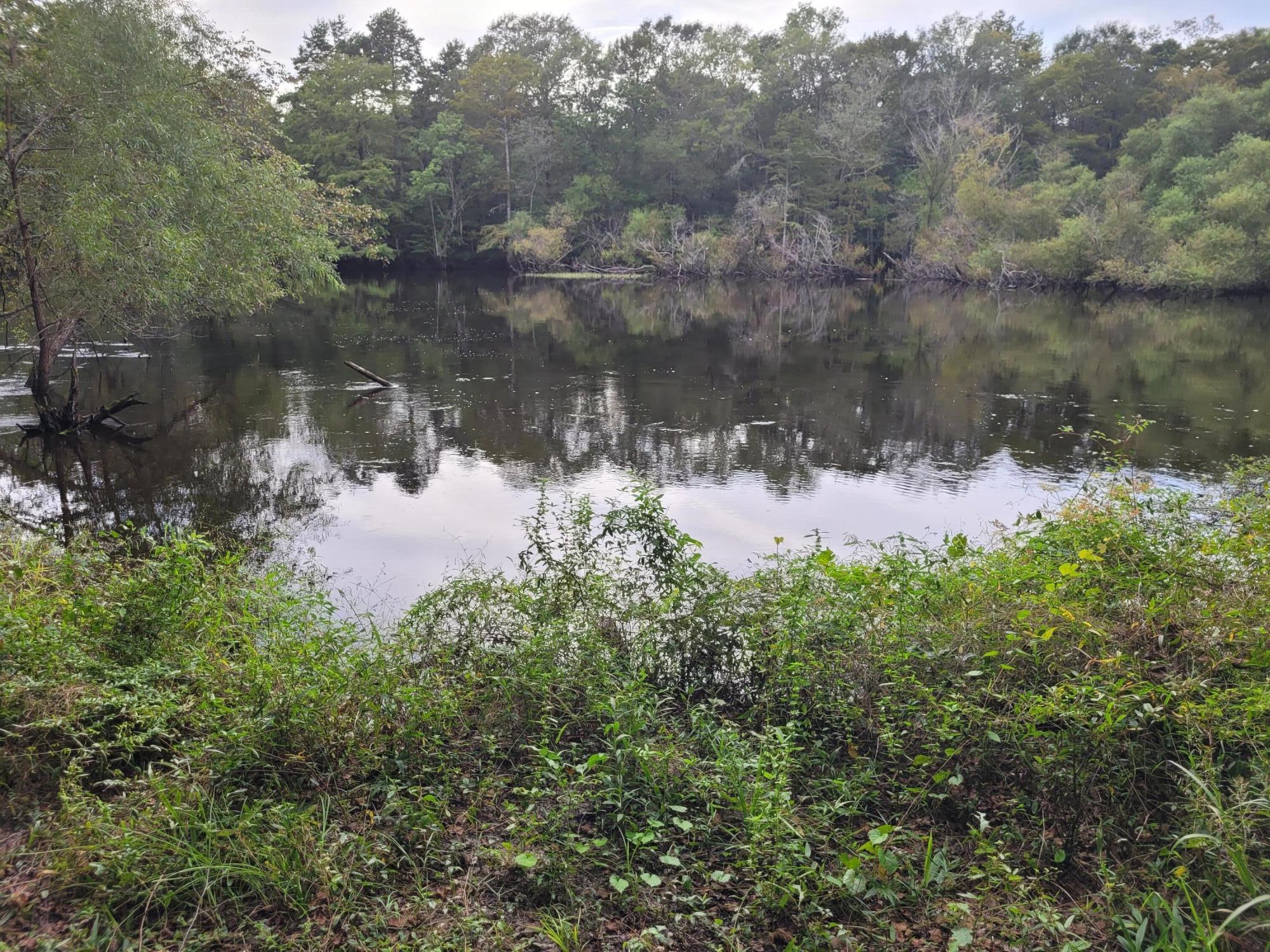 0 Boat Landing Road Ridgeville, SC 29472 - Photo 8 of 43 20220912_165205