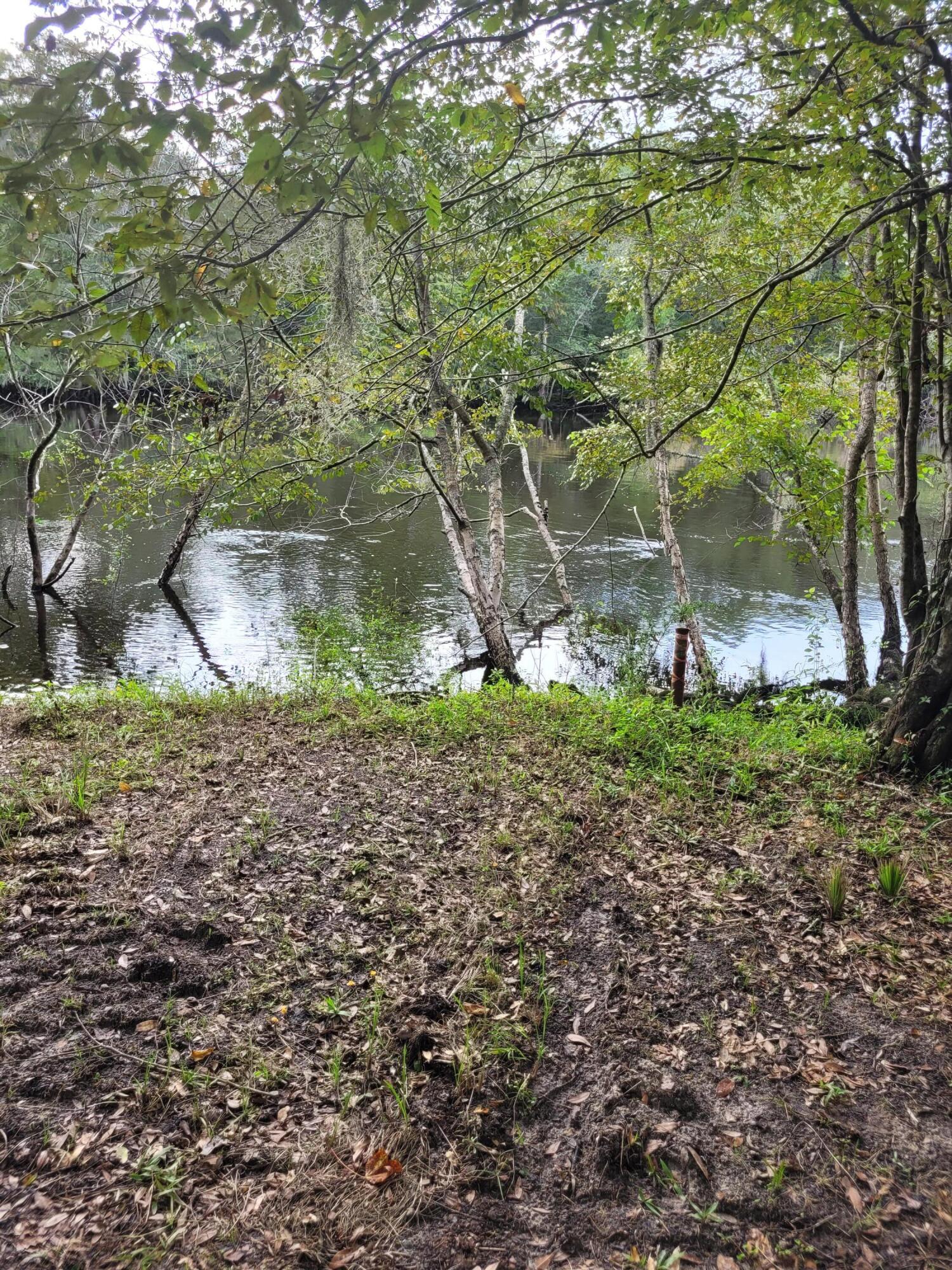 0 Boat Landing Road Ridgeville, SC 29472 - Photo 9 of 43 20220912_165301