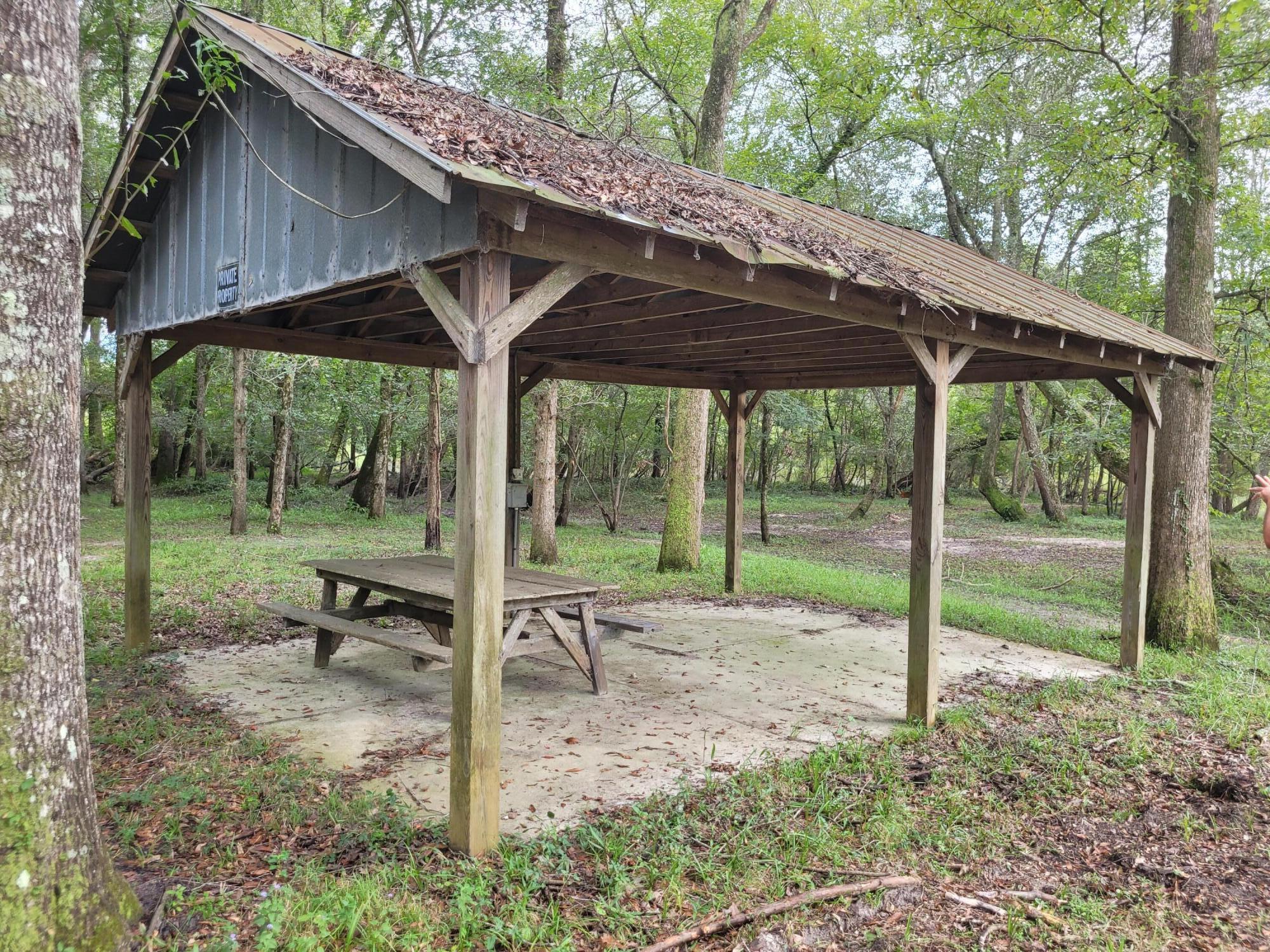 0 Boat Landing Road Ridgeville, SC 29472 - Photo 10 of 43 20220912_165352