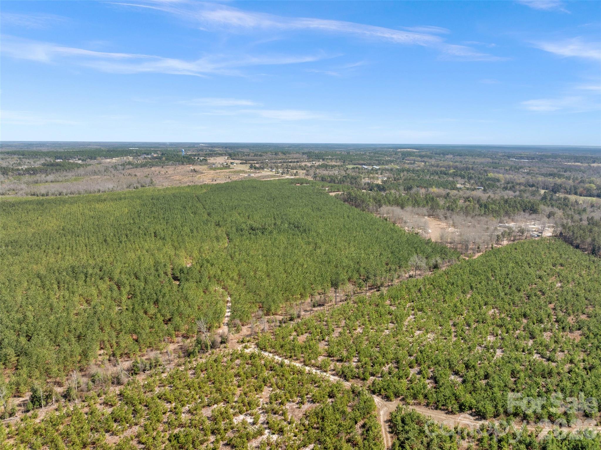 931 Charlie Johnson Road, Unit 11 Kershaw, SC 29067 - Photo 10 of 27 Gallery Image 10