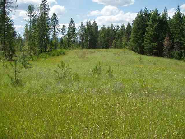 0 Eagle-Lambert Road Chewelah, WA 99109 - Photo 1 of 4 Gallery Image 1