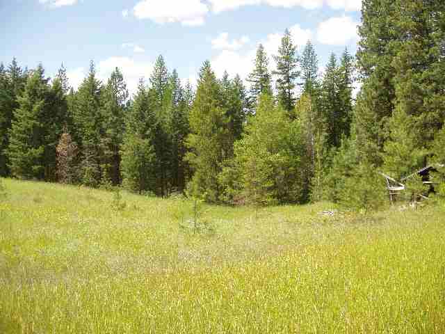 0 Eagle-Lambert Road Chewelah, WA 99109 - Photo 2 of 4 Gallery Image 2