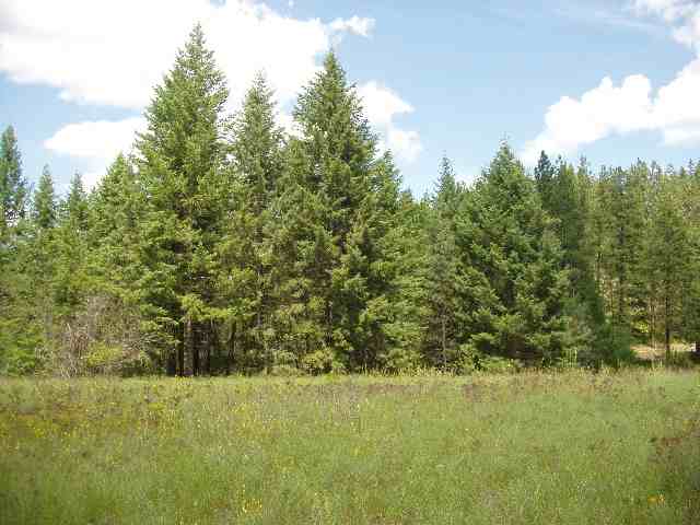 0 Eagle-Lambert Road Chewelah, WA 99109 - Photo 3 of 4 Gallery Image 3