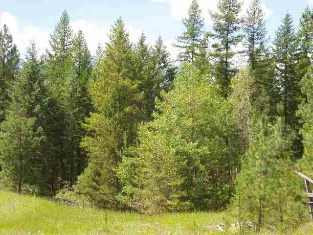 0 Eagle-Lambert Road Chewelah, WA 99109 - Photo 4 of 4 Gallery Image 4