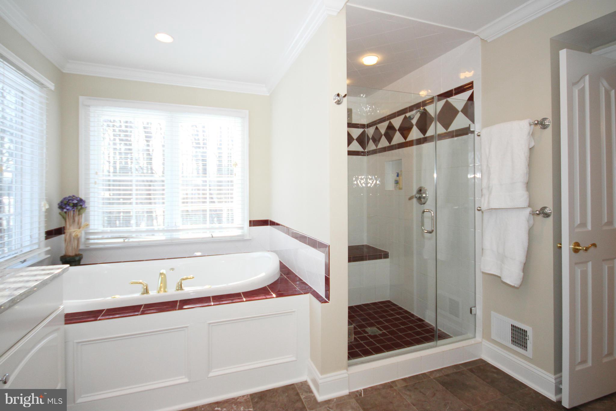 908 Challedon Road Great Falls, VA 22066 - Photo 20 of 30 Bath (Master)