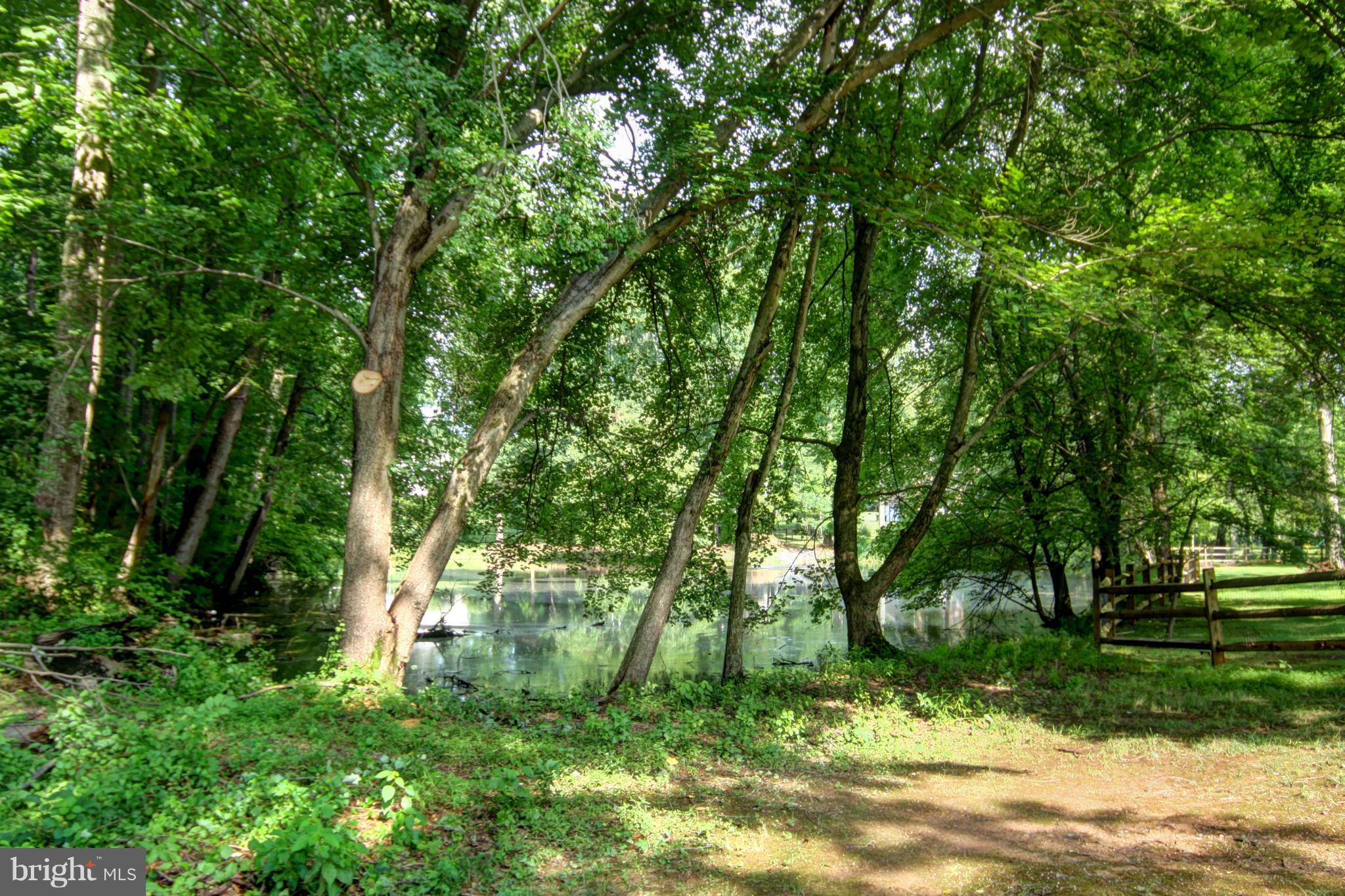 908 Challedon Road Great Falls, VA 22066 - Photo 3 of 30 Backyard Pond View