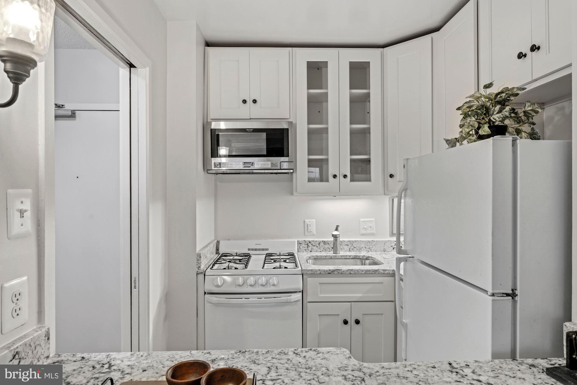 5500 Friendship Boulevard, Unit 925N Chevy Chase, MD 20815 - Photo 11 of 26 Renovated Kitchen