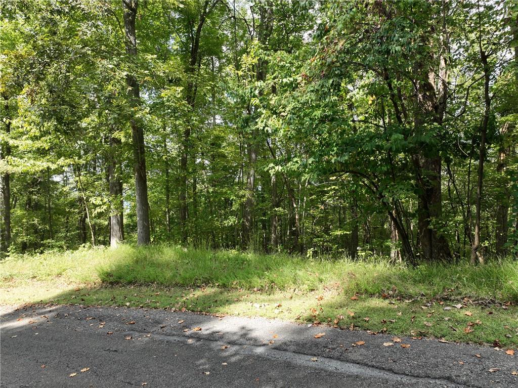 7 R Mountain Falls Loop Ellijay, GA 30536 - Photo 12 of 18 Gallery Image 12