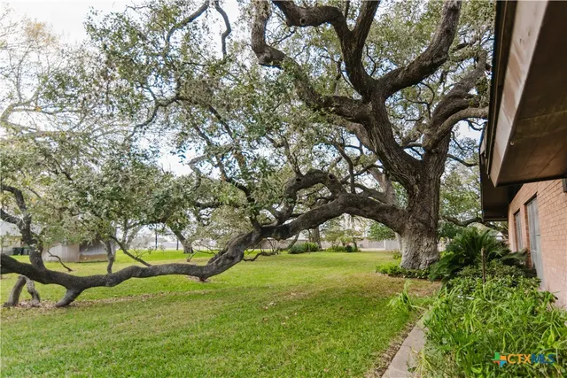 a huge green field with lots of trees