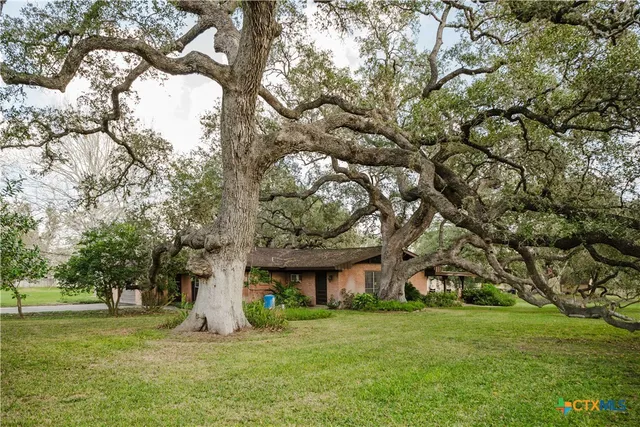 a view of a big yard next to a building