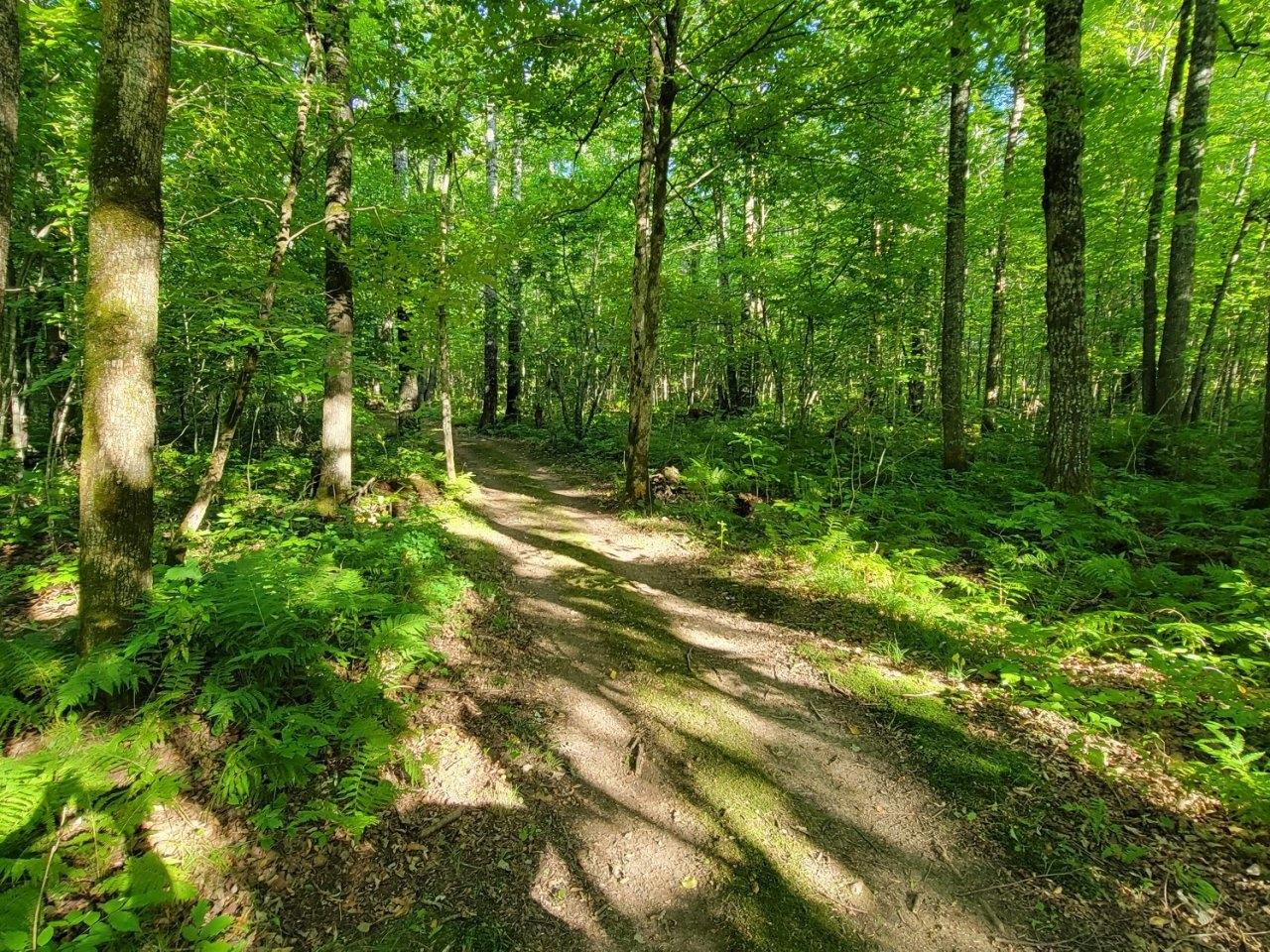 6954 North Clover Road Winter, WI 54896 - Photo 25 of 36 Gallery Image 25