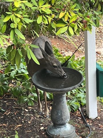 $1,399,000 | 50 Palomino Circle, Novato, CA 94947