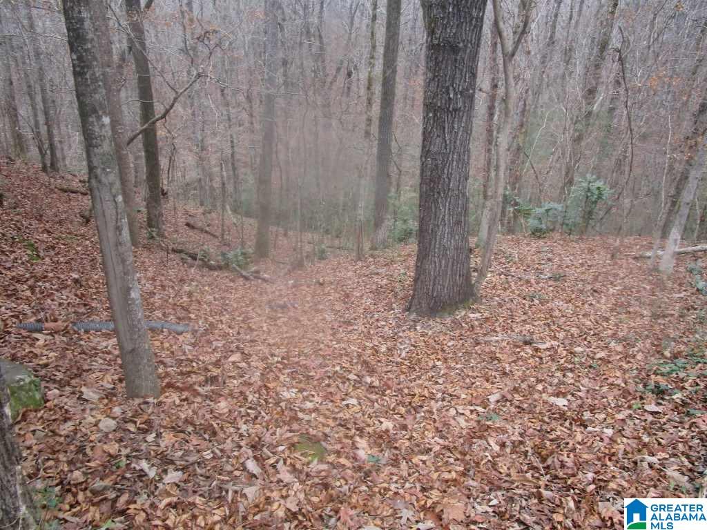 5353 Bluff View Road Mount Olive, AL 35117 - Photo 26 of 26