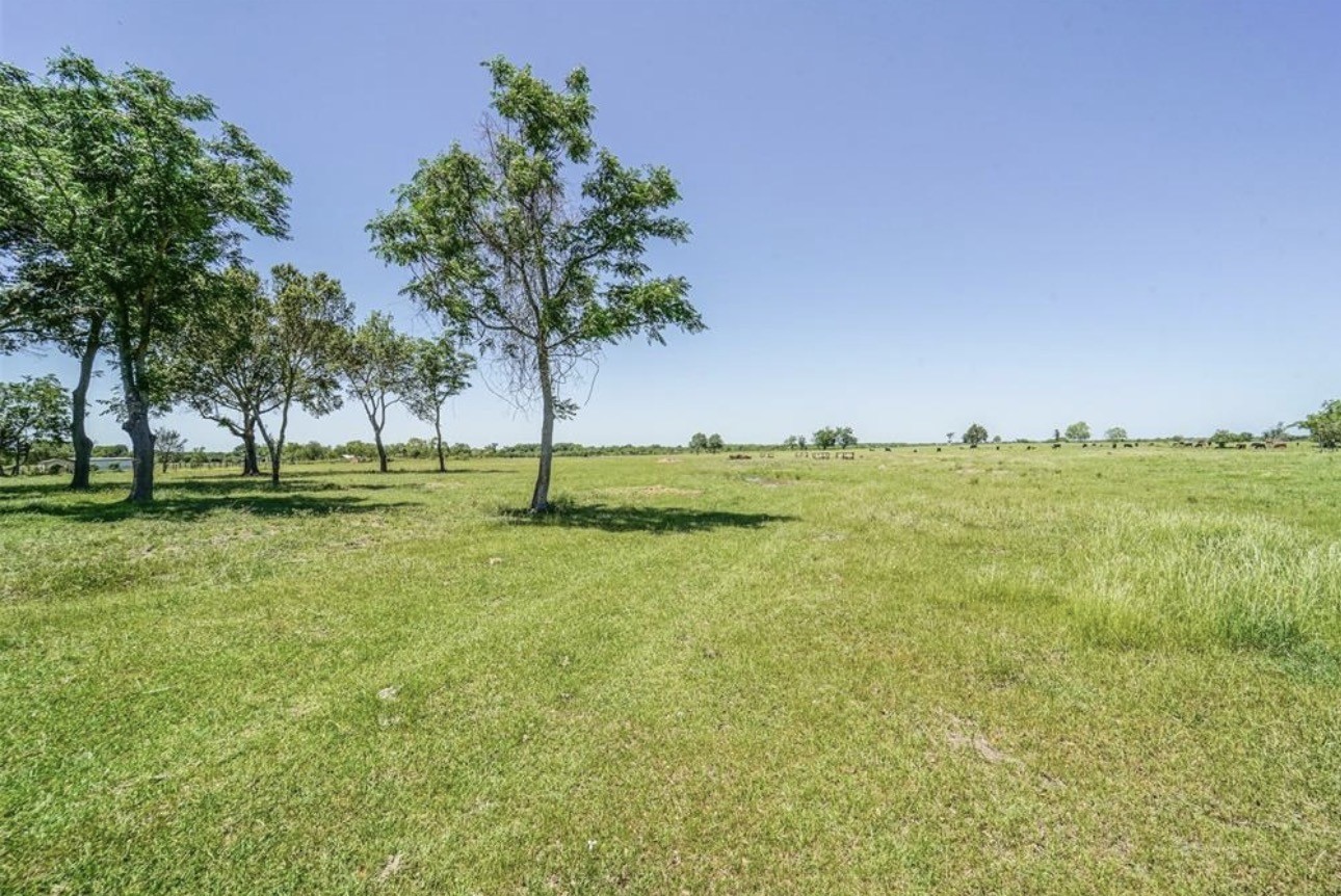 11811 Schmidt Road Waller, TX 77484 - Photo 5 of 7 a view of a garden with a tree