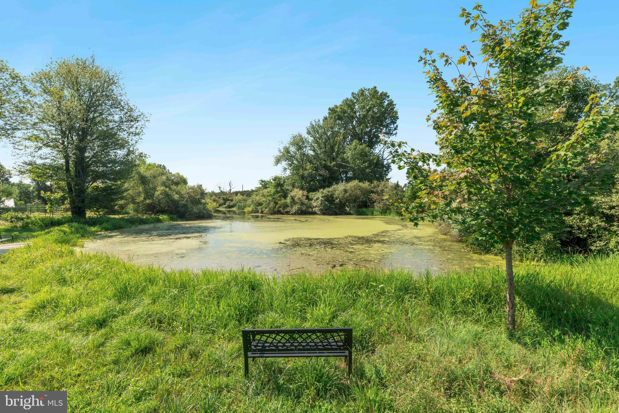 415 Geigel Hill Road Upper Black Eddy, PA 18972 - Photo 13 of 51 a view of a garden with a lake