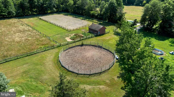 a view of a garden