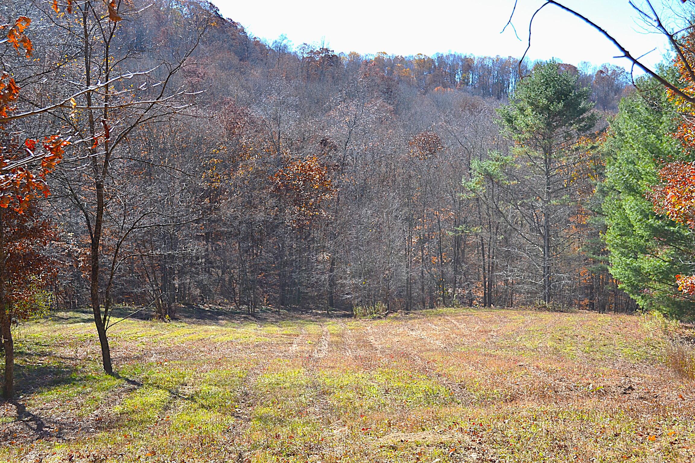 602 Carr-Summerfield Road Rainelle, WV 25962 - Photo 6 of 42 Gallery Image 6