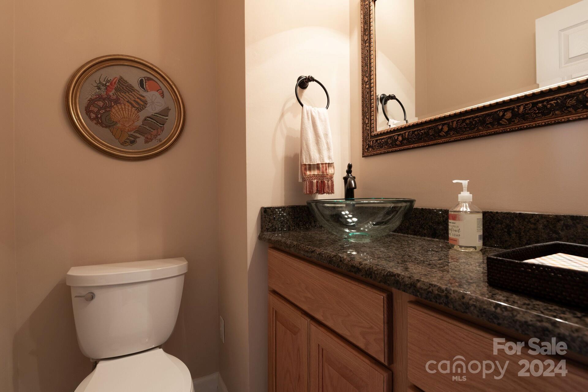 3322 Stettler View Road Charlotte, NC 28210 - Photo 16 of 27 a bathroom with a toilet and a sink