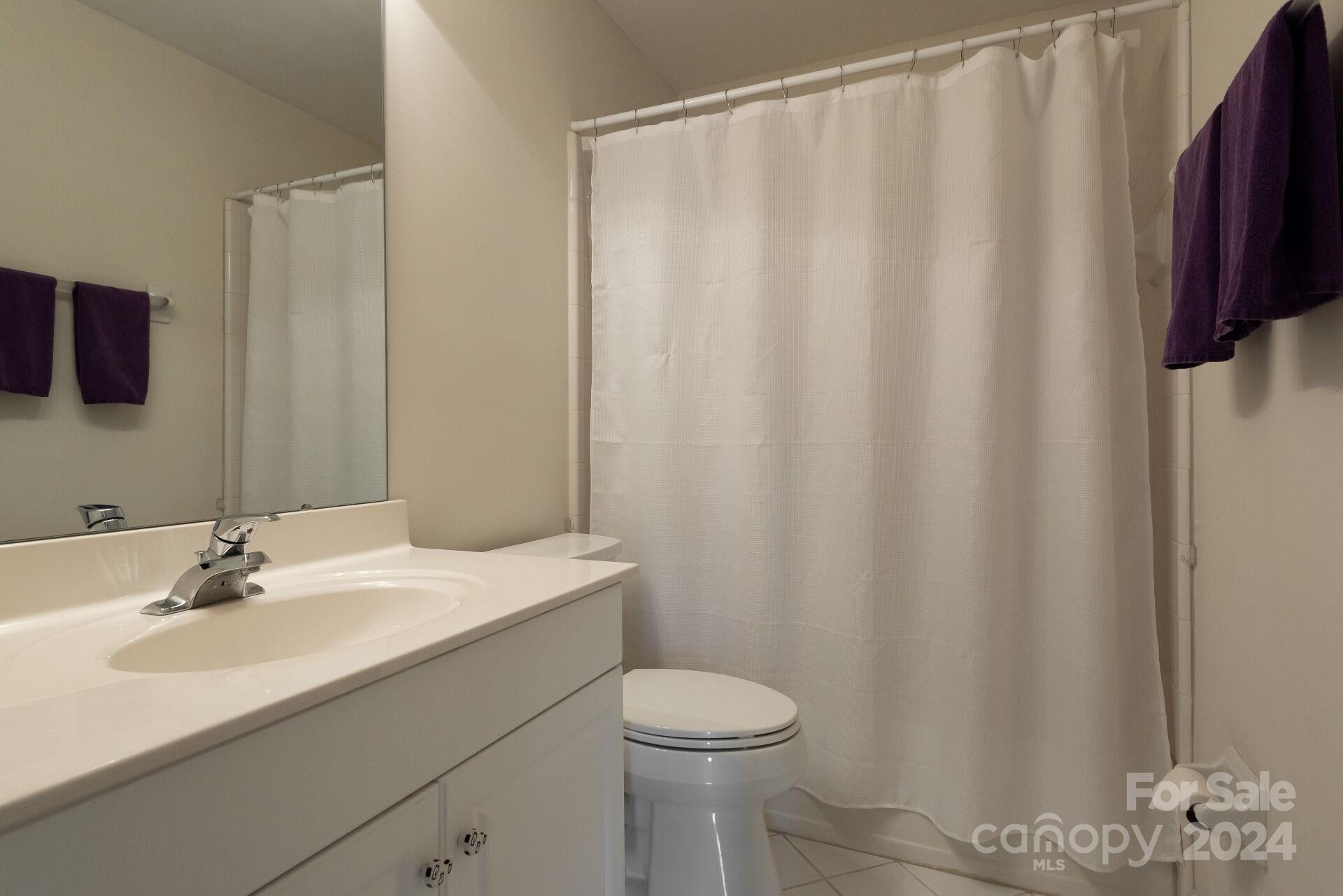 3322 Stettler View Road Charlotte, NC 28210 - Photo 19 of 27 a bathroom with a sink a toilet and shower curtain