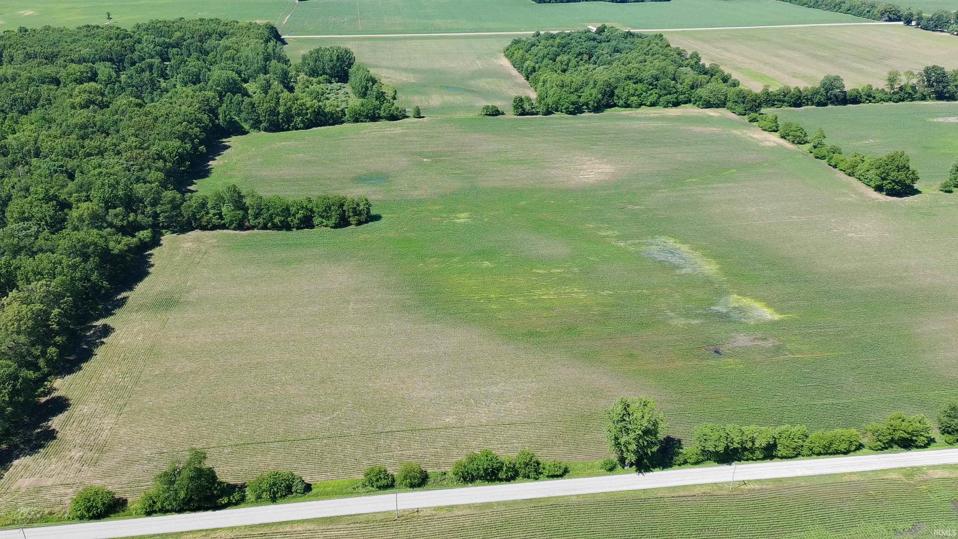 State Road Monticello, IN 47960 - Photo 5 of 10