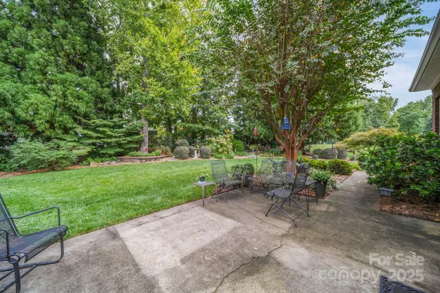 a view of a park with large trees