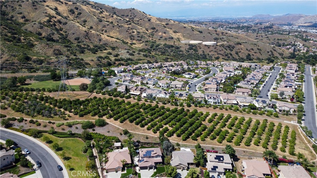 8578 Hunt Canyon Road Corona, CA 92883 - Photo 73 of 75 Orchard